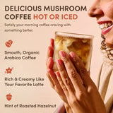 Mushroom Coffee Starter Kit 60 Servings